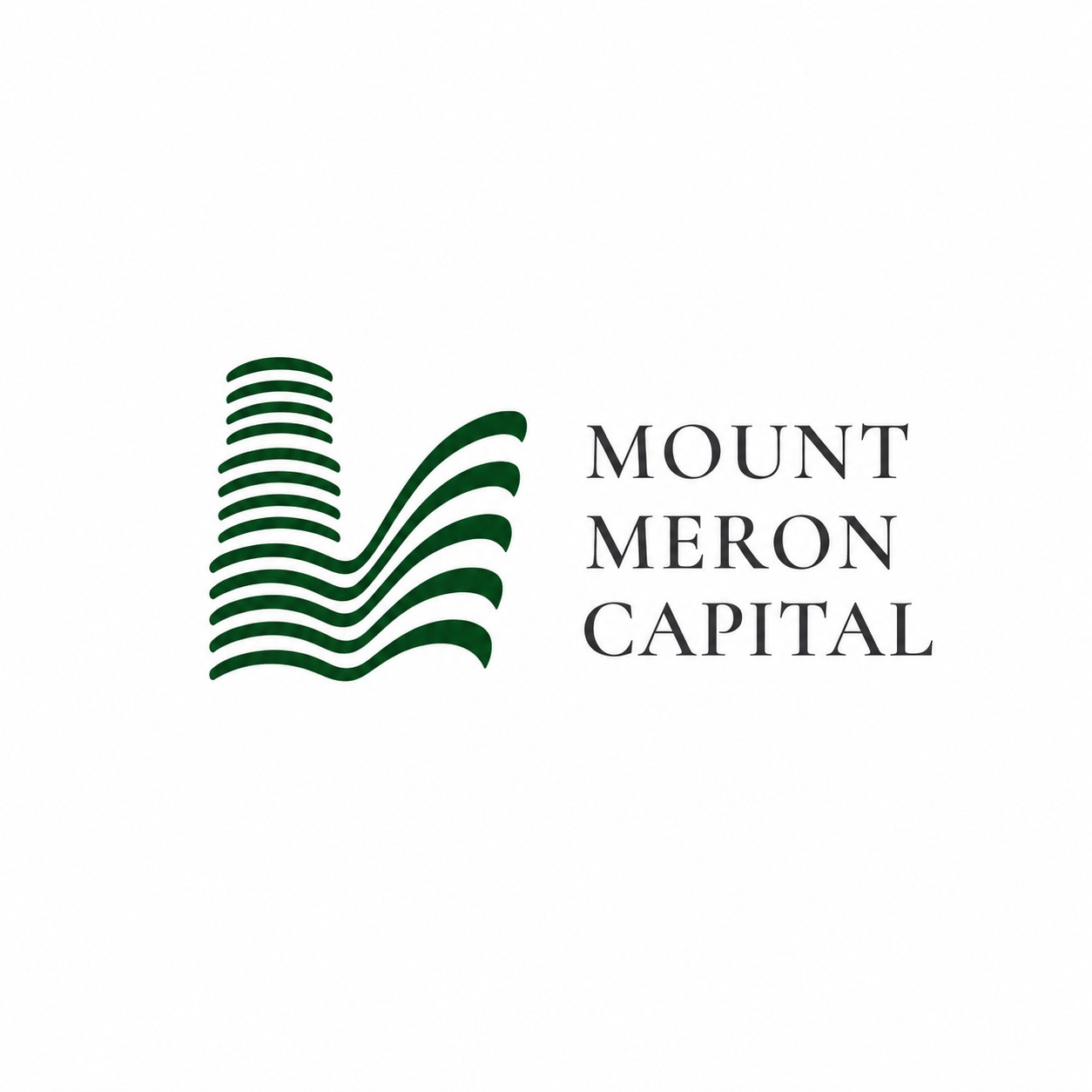 Mount Meron Capital